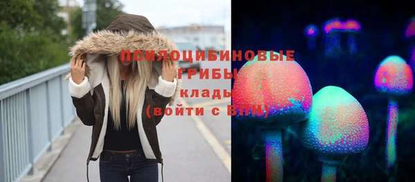 а пвп мука Абаза