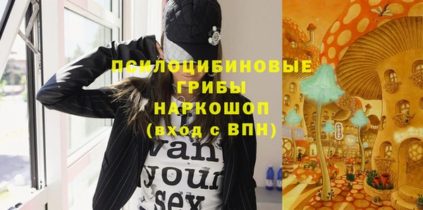 а пвп мука Абаза