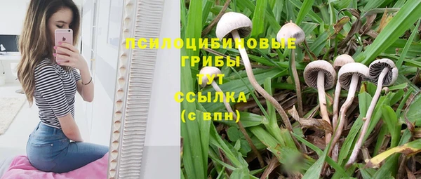 а пвп мука Абаза