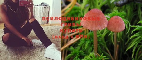 молекула духа Белая Калитва
